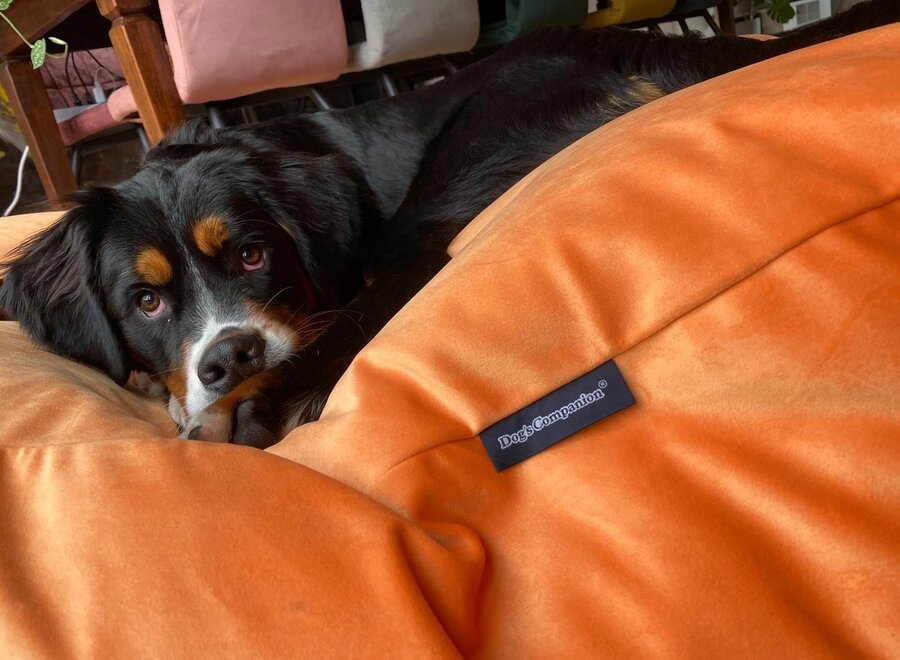 Dog bed Peach Velvet