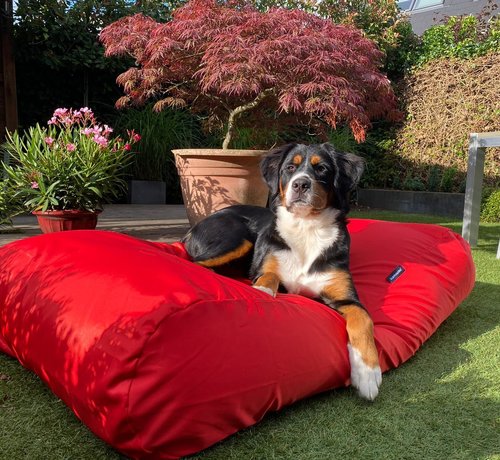 Dog's Companion Dog bed red coating large