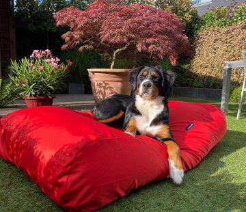 Dog's Companion Dog bed red coating superlarge