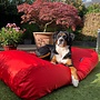 Dog bed red coating superlarge