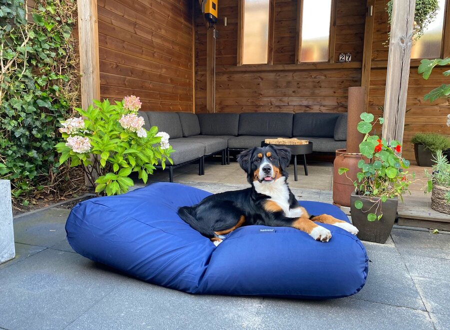 Dog bed dark blue coating extra small