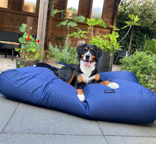 large blue dog bed