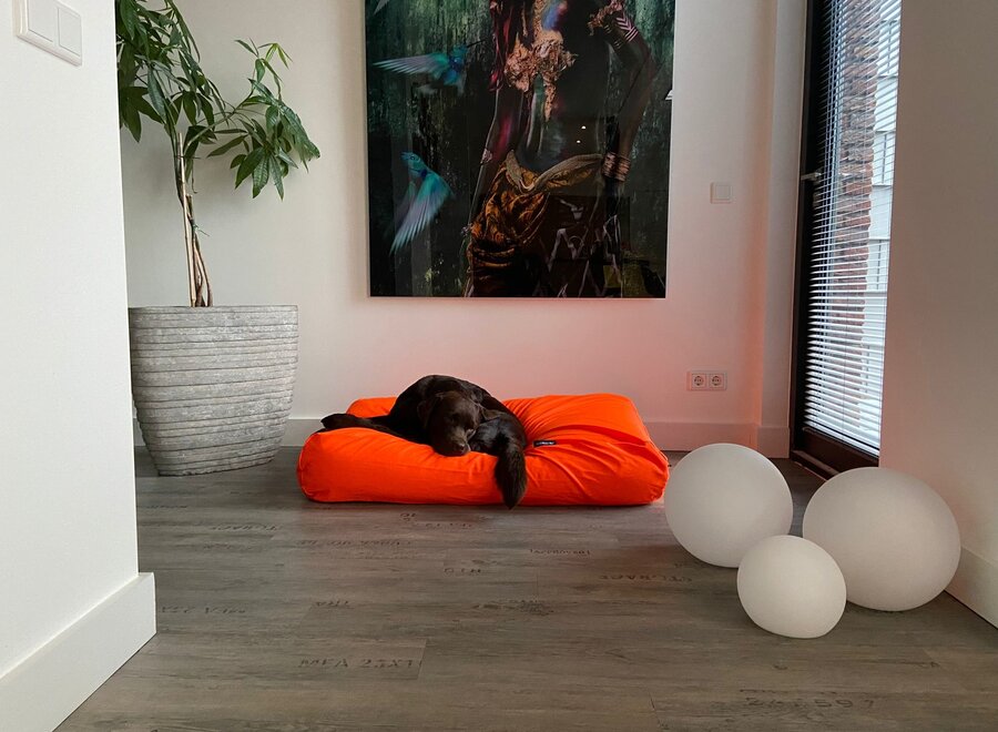 Dog bed orange coating