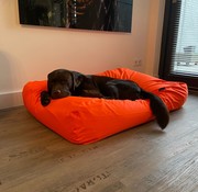 Dog's Companion Lit pour chien Orange coating