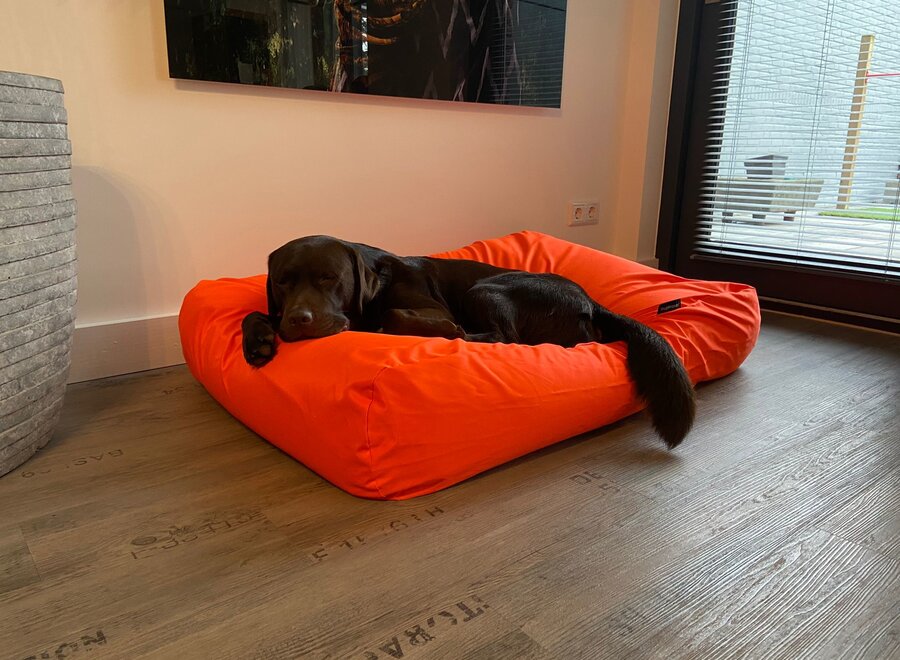 Dog bed orange coating