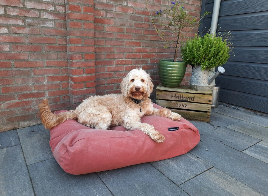 Dog bed Stone washed pale red