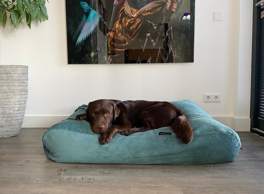 Dog bed ocean corduroy