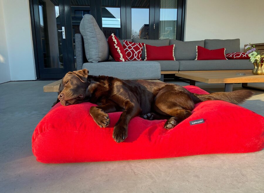 Dog bed red corduroy