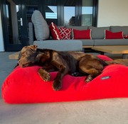 Dog's Companion Lit pour chien Rouge (corduroy) Large