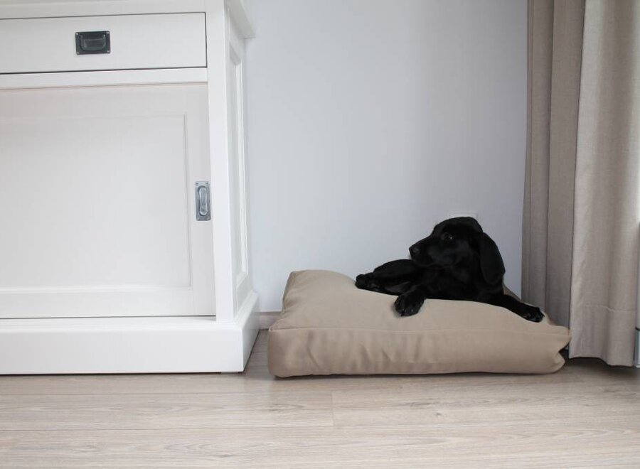 Dog bed bench cushion beige (65 x 50 x 10 cm)