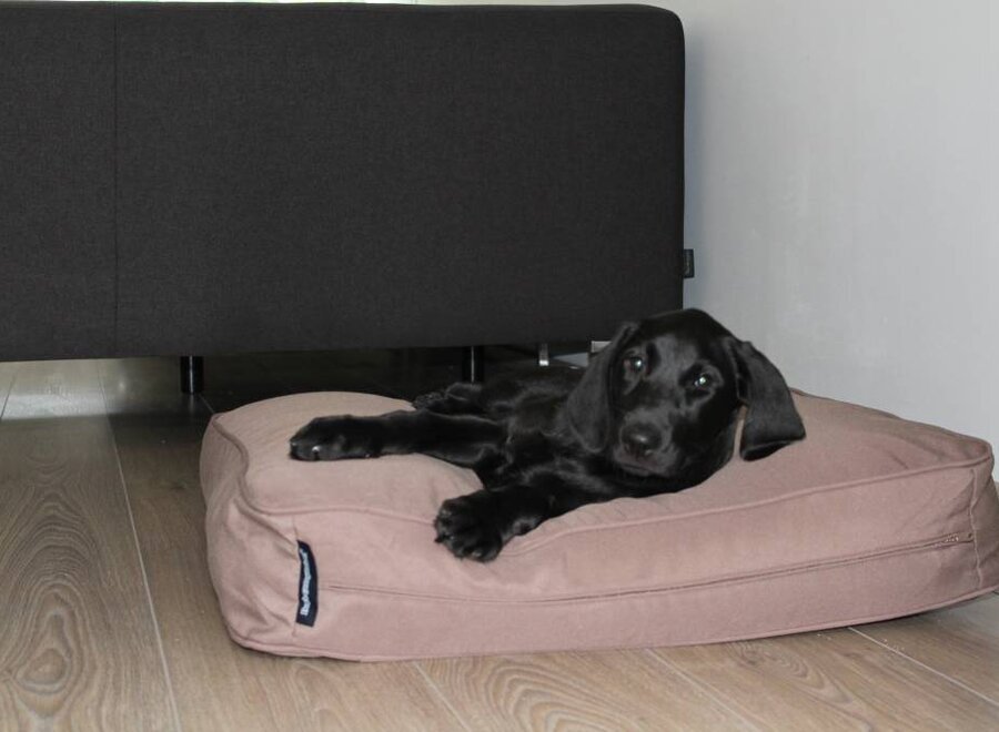 Dog bed bench cushion taupe 68 x 62 x 10 cm