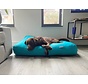 Dog bed turquoise coating