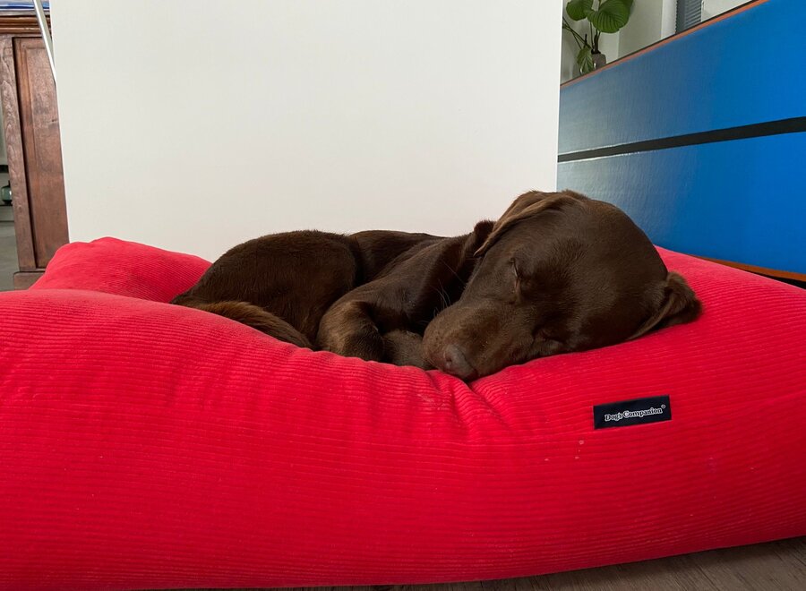 Dog bed red corduroy small