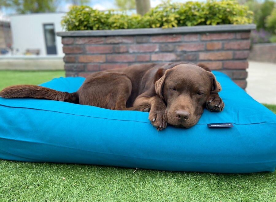 Dog bed Petrol Superlarge