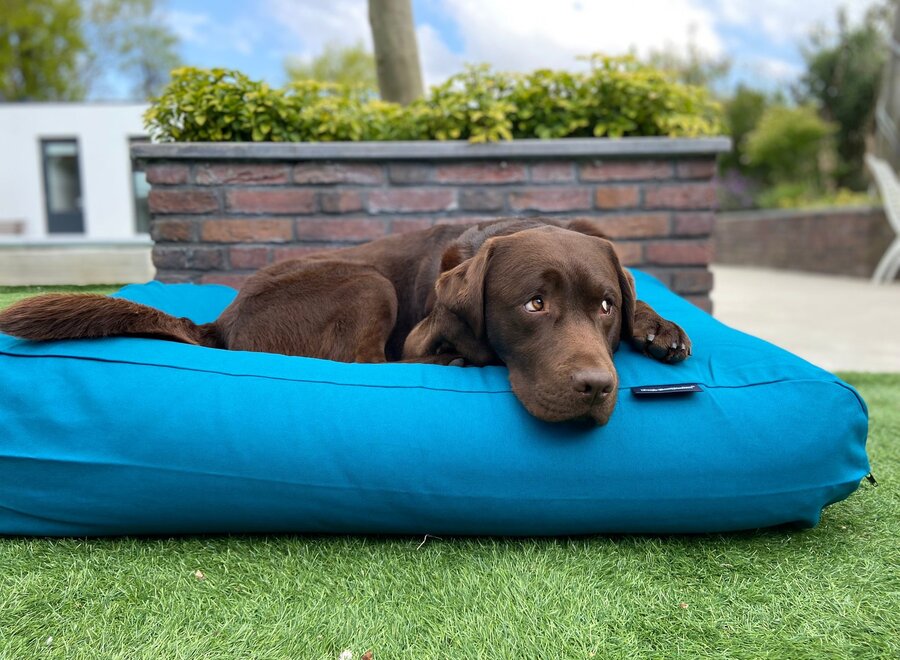 Dog bed Petrol Superlarge