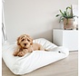 Dog bed White Sand