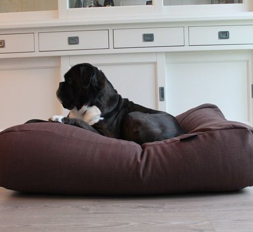 Dog's Companion Dog bed Chocolate Brown (upholstery) Medium