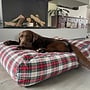Dog bed dress stewart small