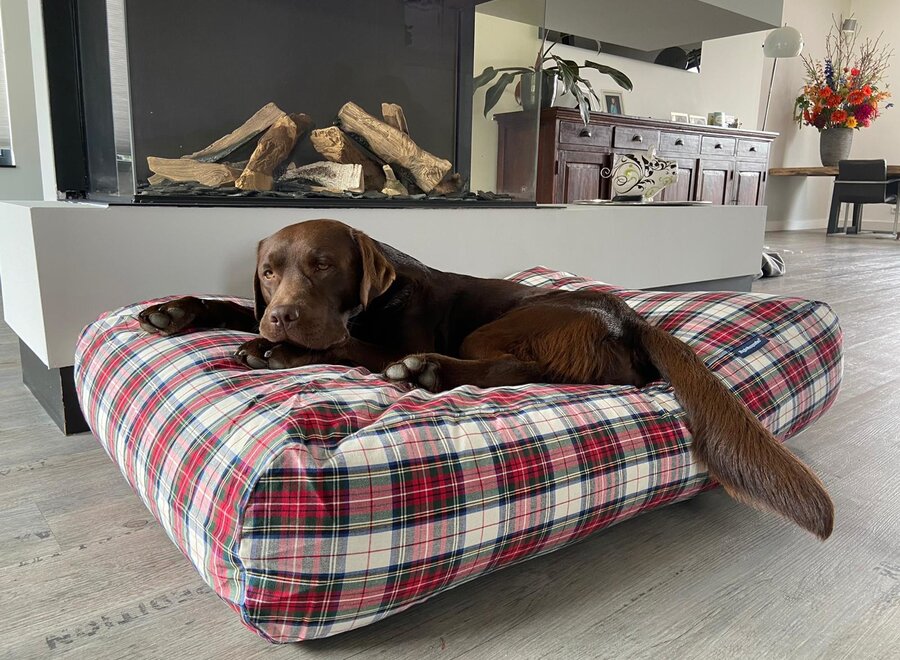 Dog bed dress stewart medium