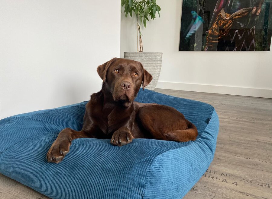 Dog bed petrol corduroy superlarge