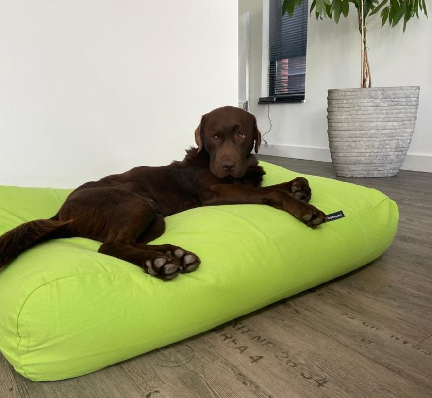 Dog bed lime small