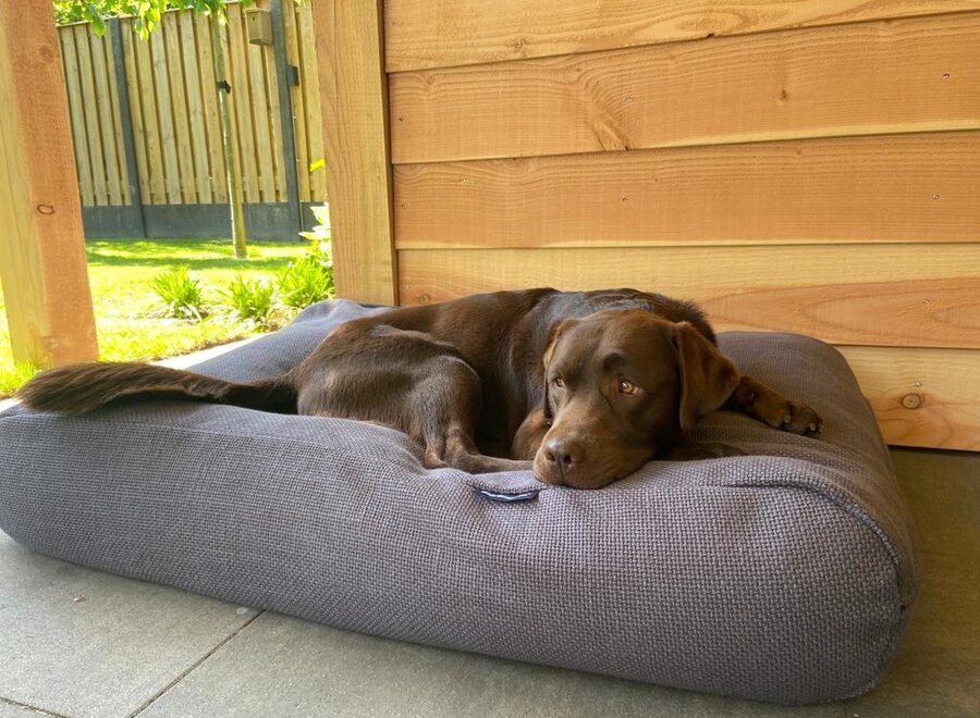 Dog bed Copenhagen full grey