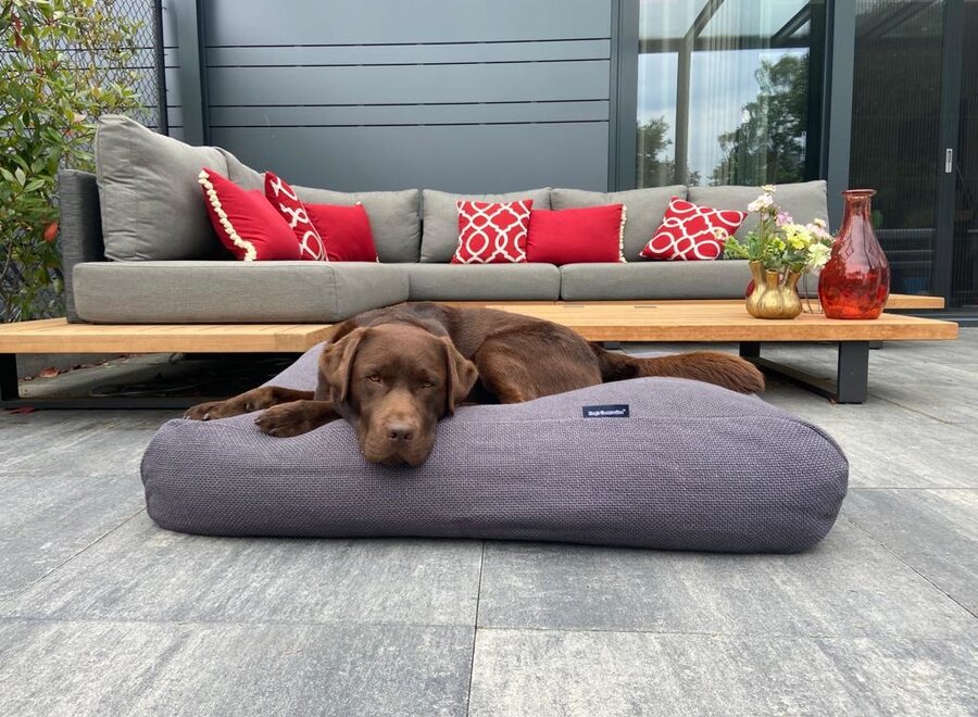 Lit pour chien Copenhagen full grey