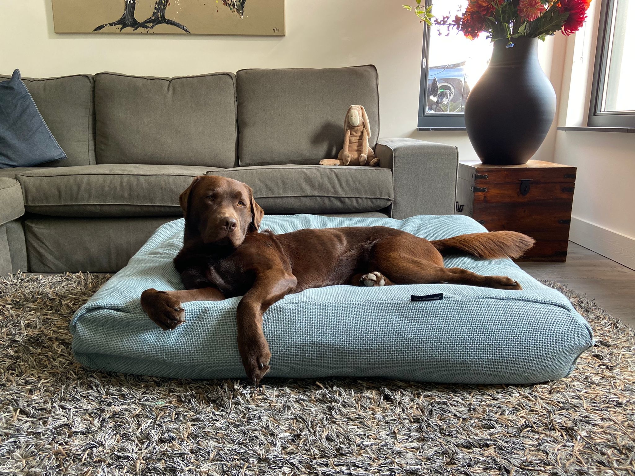 Dog bed Copenhagen ocean Dog beds by Dog's Companion®