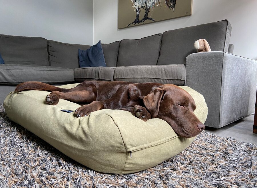 Dog bed Moss Velvet