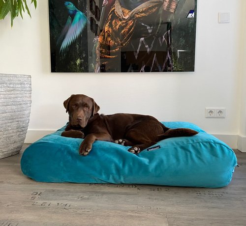 Dog's Companion Dog bed Strong Turquoise Velvet