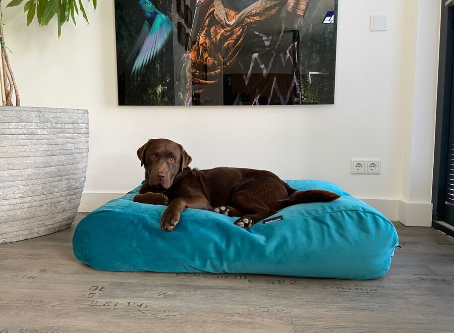 Lit pour chien Strong Turquoise Velvet