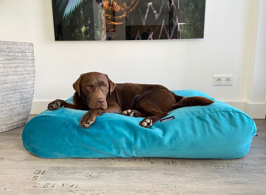 Lit pour chien Strong Turquoise Velvet