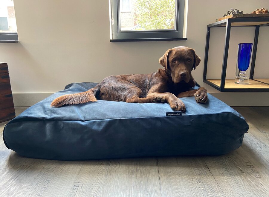 Dog bed strong midnight blue velvet extra small