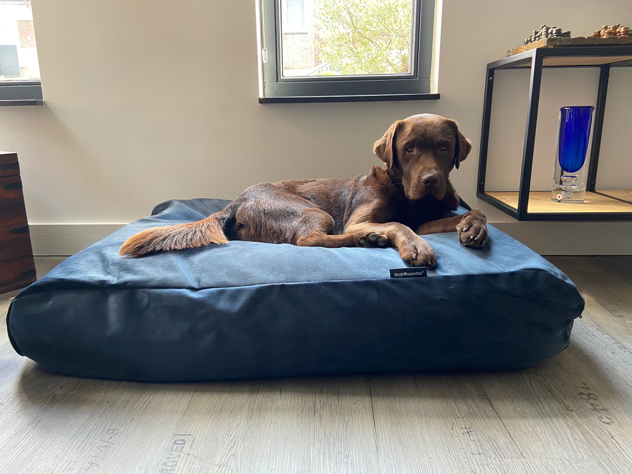 Dog bed Strong Midnight Blue Velvet Dog beds by Dog's Companion®