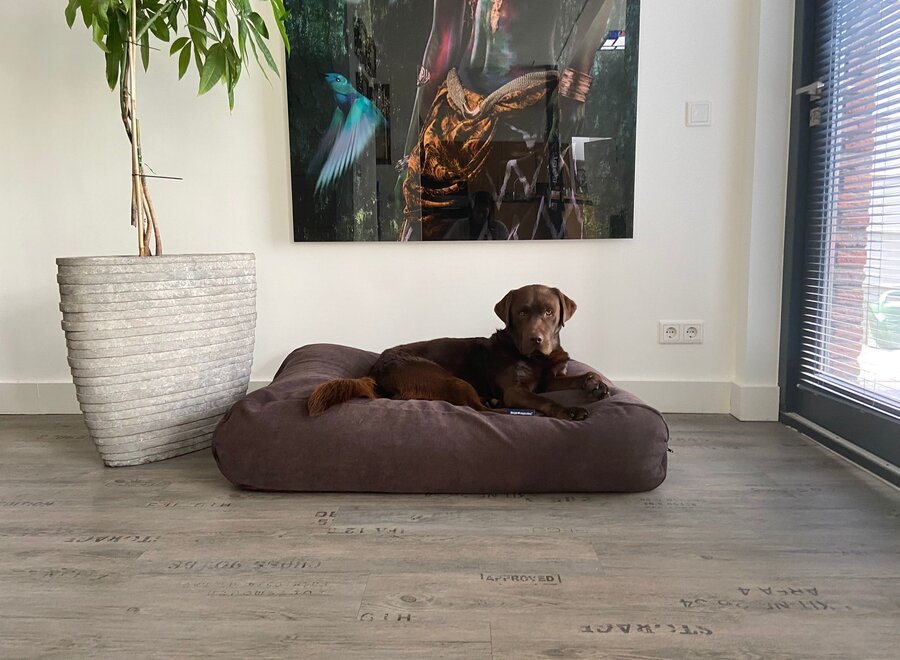 Dog bed Soft brown chenille velvet