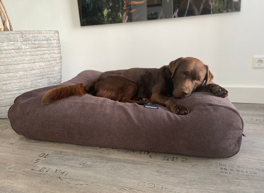 Dog bed Soft brown chenille velvet