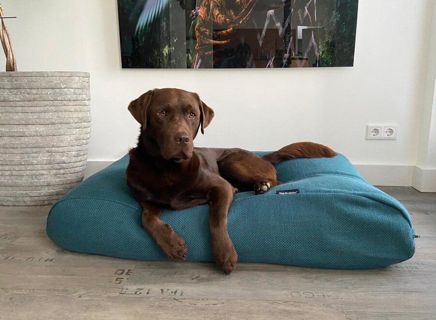 Lit pour chien Copenhagen petrol