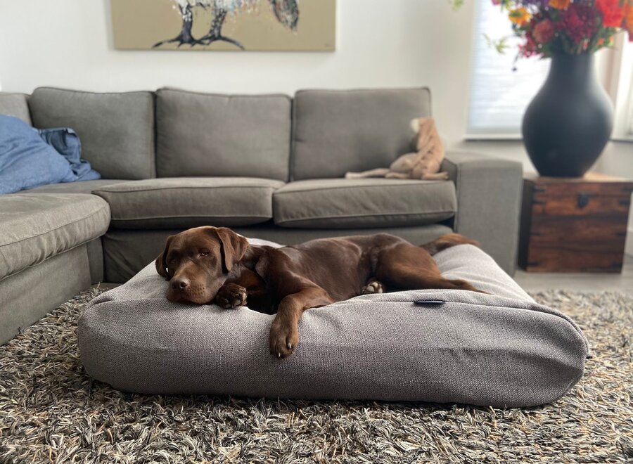 Dog bed Tweed grey extra small