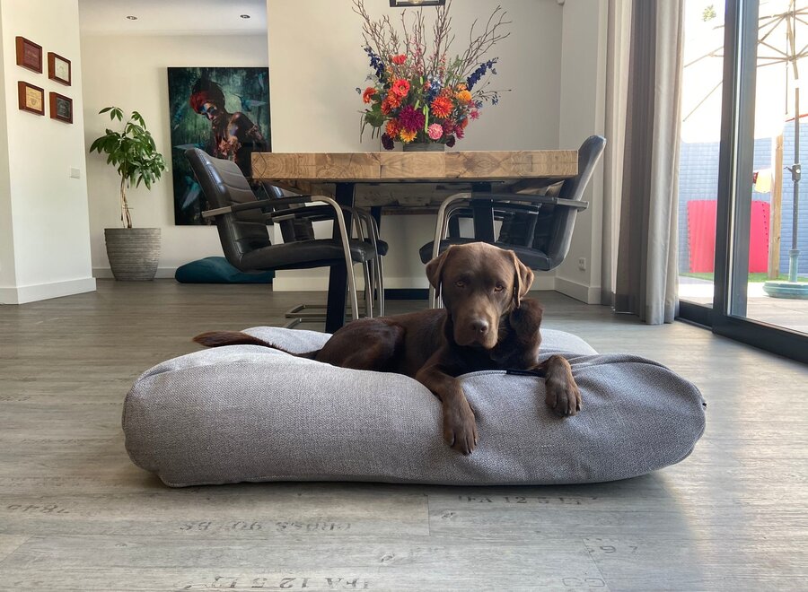 Dog bed Tweed grey extra small