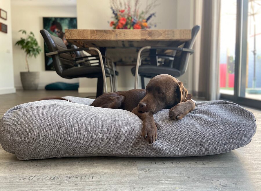 Dog bed Tweed grey extra small