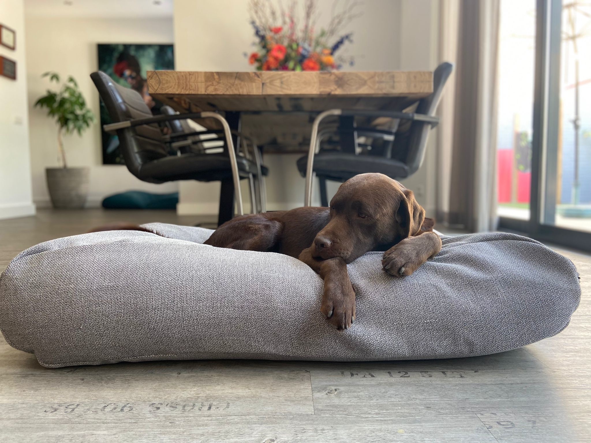 Dog bed Tweed grey Dog beds by Dog's Companion®
