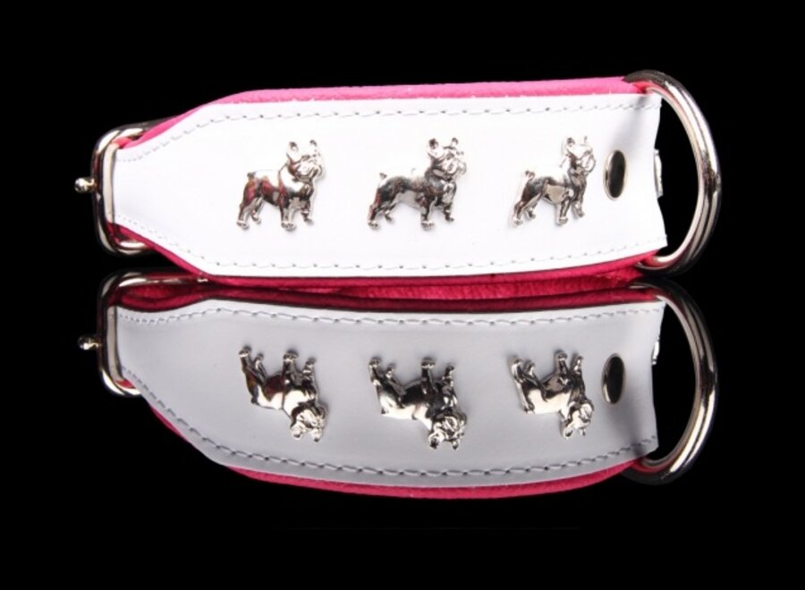 Leather dog collar French Bulldog