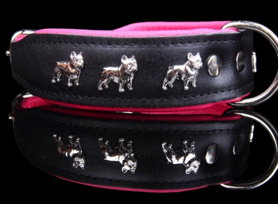 Leather dog collar French Bulldog