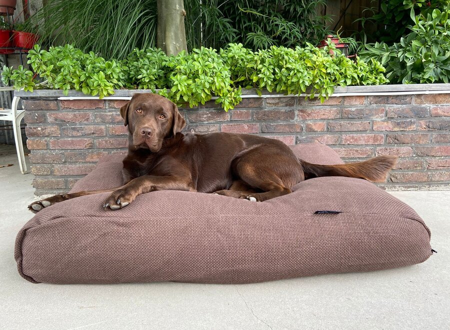 Dog bed Copenhagen mocha