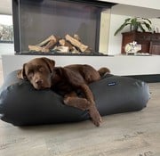 Dog's Companion Dog bed Black leather look Extra Small