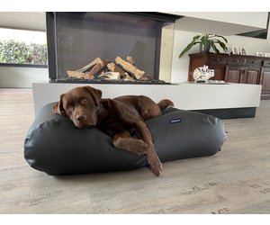 Dog s Companion Dog bed black leather look extra small