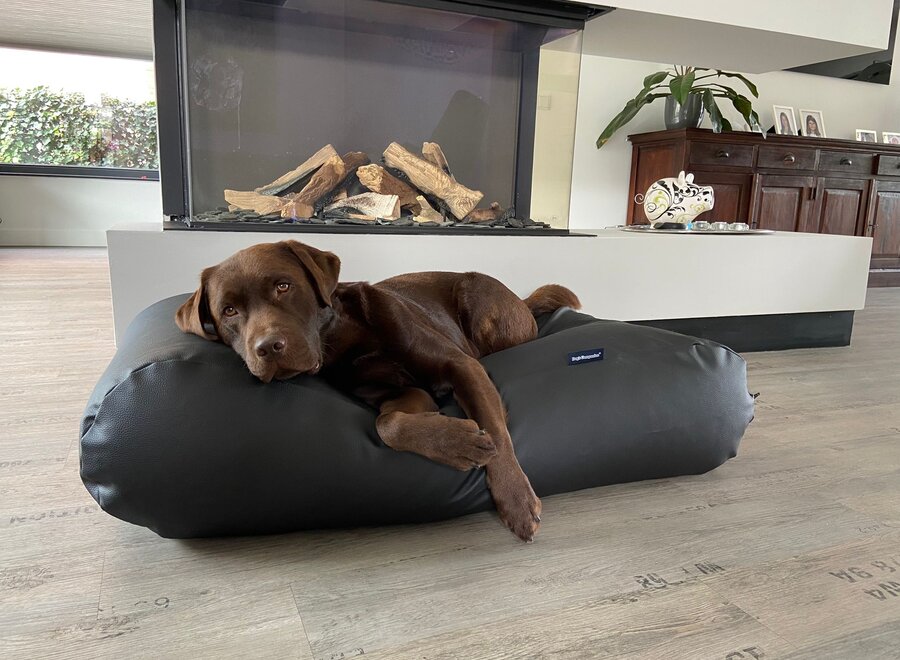Dog bed black leather look small