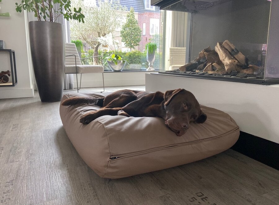 Dog bed taupe leather look