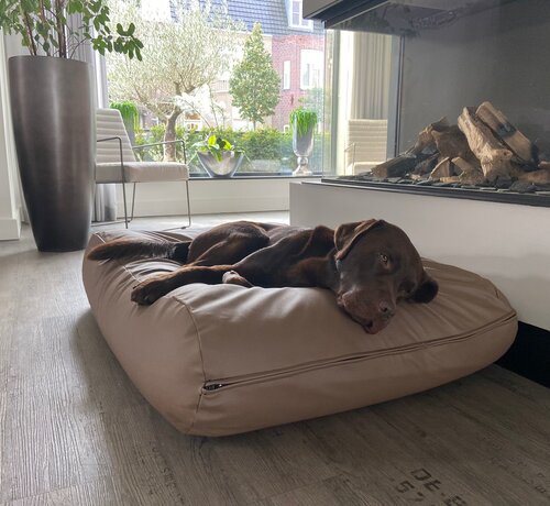 Dog's Companion Dog bed taupe leather look extra small
