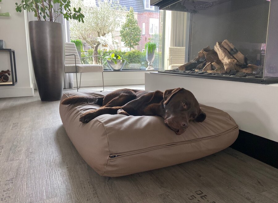 Dog bed taupe leather look superlarge